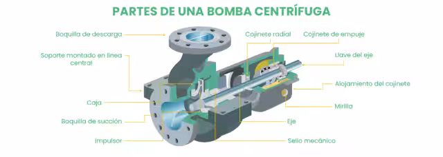 Partes de una bomba centrífuga