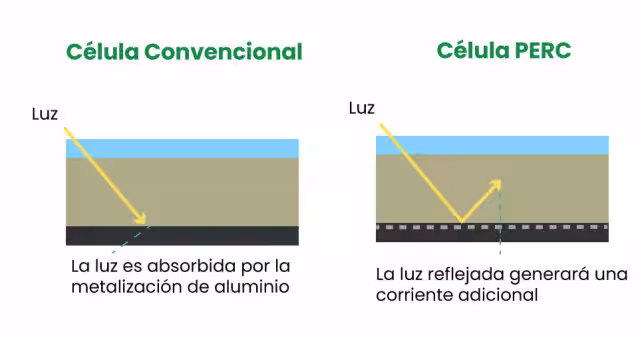 Celulas-PERC.jpg
