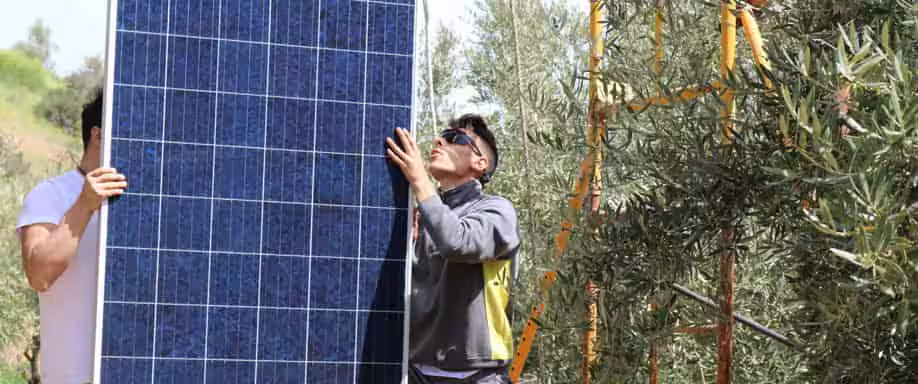 Las energías renovables crean más de diez millones de puestos de trabajo