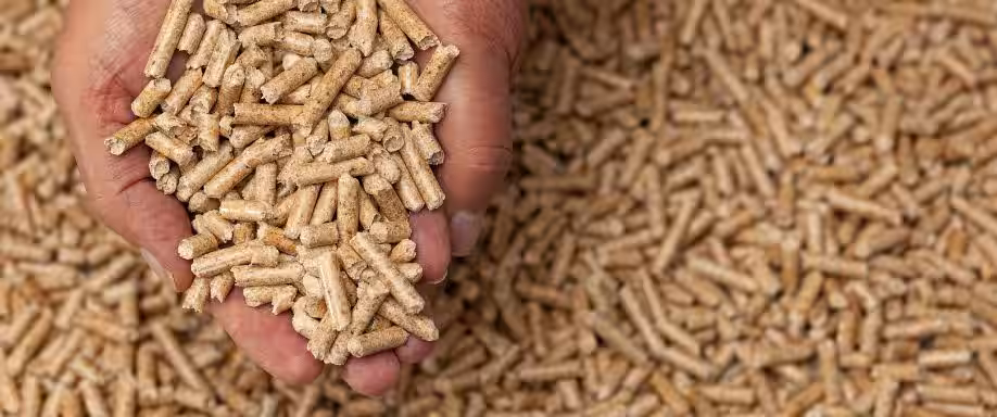 ¿Pellets qué es?