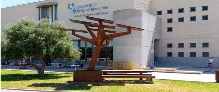 ‘Árboles Solares en la UMH’ el primer proyecto de la Semana de la Innovación en la Gestión Universitaria ‘Árboles Solares en la UMH’ el primer proyecto de la Semana de la Innovación en la Gestión Universitaria