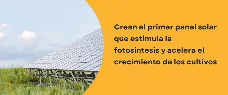 Crean el primer panel que estimula la fotosíntesis y acelera el crecimiento de los cultivos