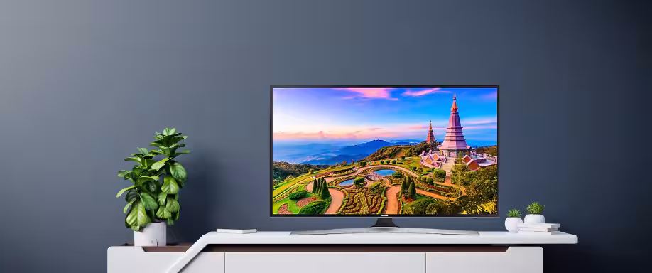 ¿Cuáles son las medidas TV 55 pulgadas?