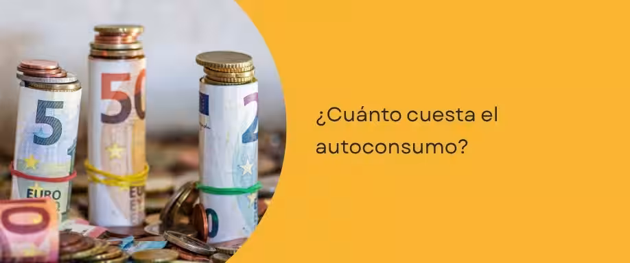 ¿Cuánto cuesta el autoconsumo?