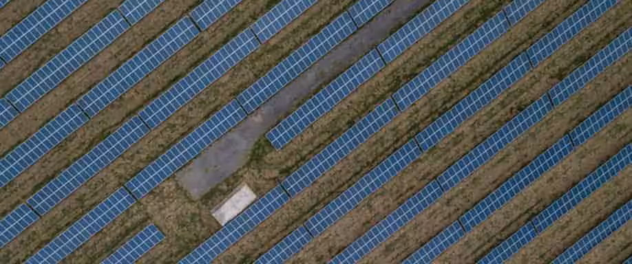 Ventajas de la energía solar en la ganadería