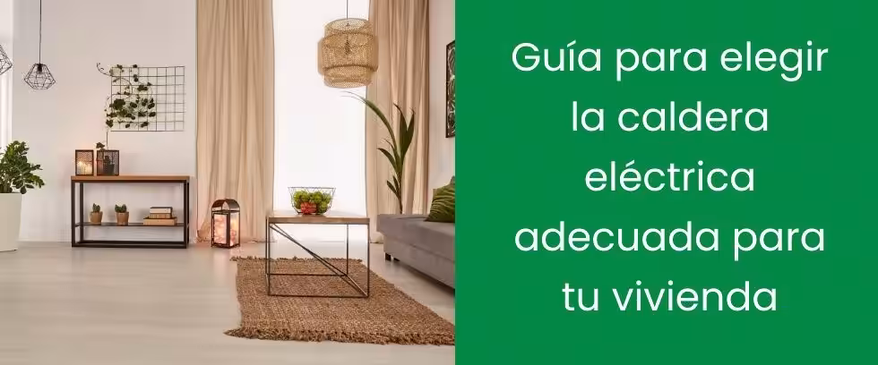 Guía para elegir la caldera eléctrica adecuada para tu vivienda Guía para elegir la caldera eléctrica adecuada para tu vivienda