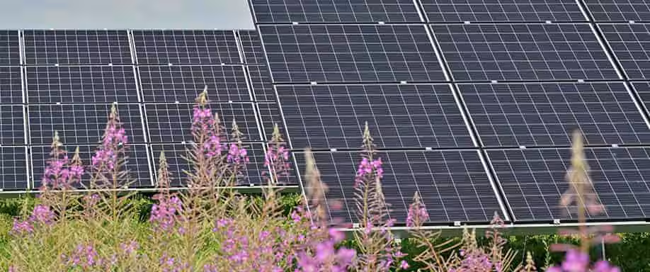 Cuántos kWh produce un panel solar