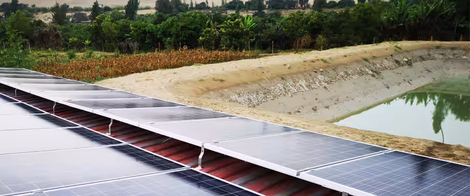 Placas solares para el riego agrícola