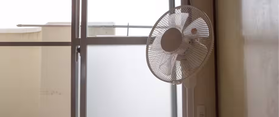 ¿Qué tener en cuenta a la hora de comprar un ventilador de pie?