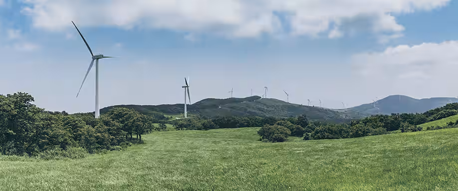 El 2020, récord de producción con energías renovables