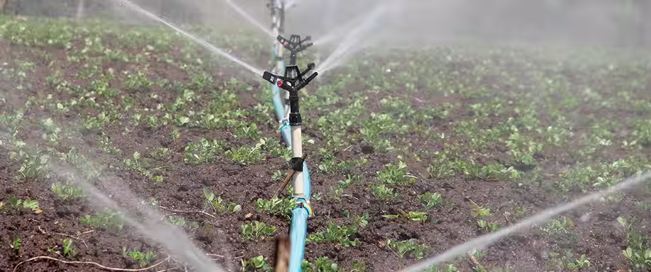 Sistema de riego fotovoltaico, ¿futuro de la agricultura sostenible?