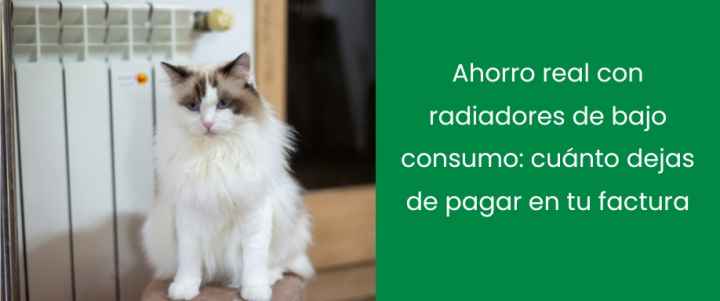 Radiador eléctrico bajo consumo: ¿cuánto baja tu factura al mes?