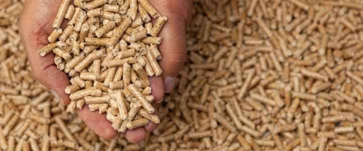 ¿Pellets qué es?