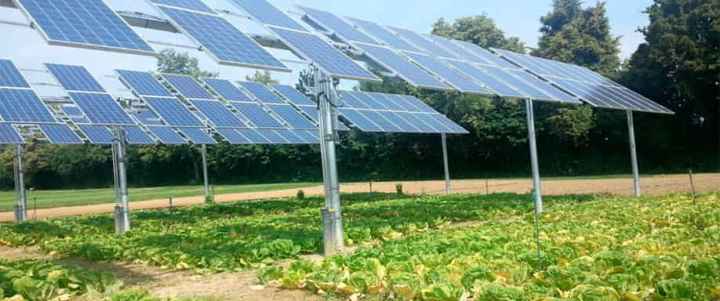 Agrofotovoltaica: combinando fotosíntesis y fotovoltaica