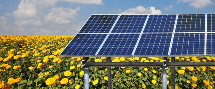 La agrovoltaica en España