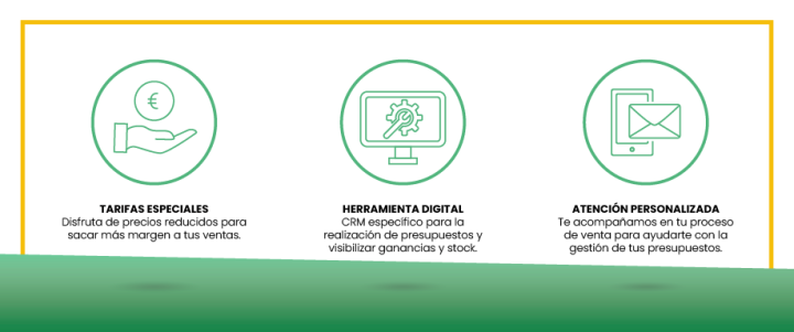 Gestión profesional