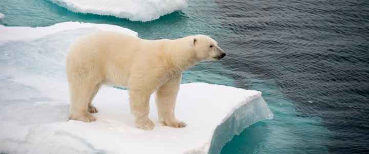 ¿Qué es el cambio climático?