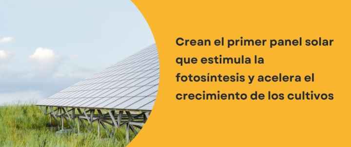 Crean el primer panel que estimula la fotosíntesis y acelera el crecimiento de los cultivos