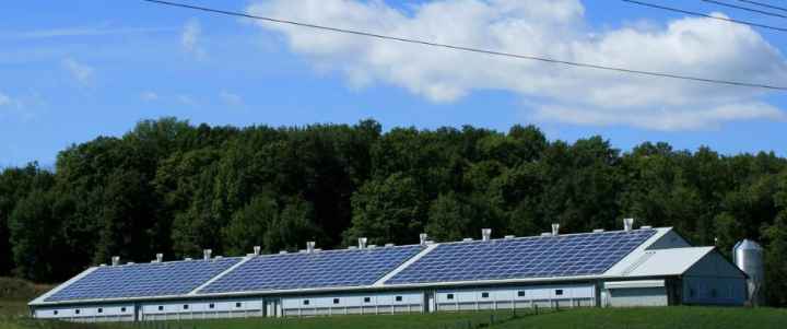Mejores empresas de placas solares: ¿Cuál elegir? Mejores empresas de placas solares: ¿Cuál elegir?