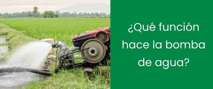 ¿Qué función hace la bomba de agua?