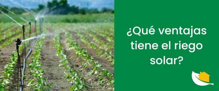 ¿Qué ventajas tiene el riego solar?